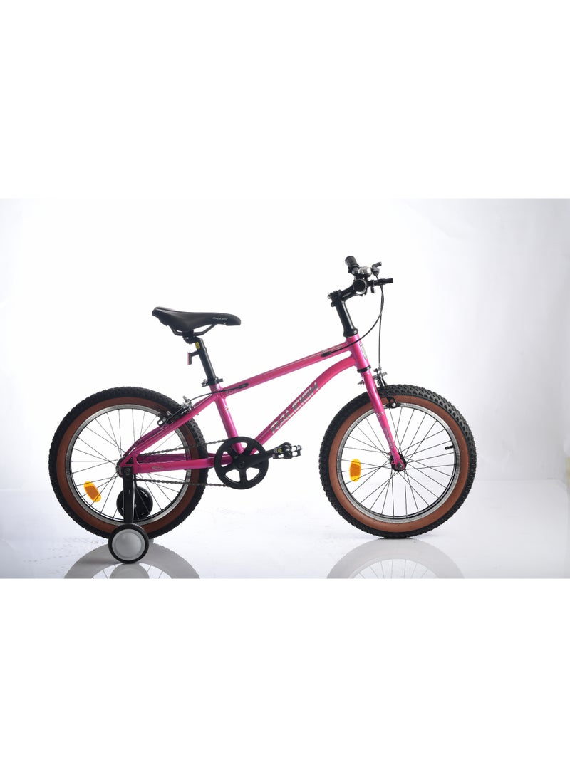Raleigh POP 18 Inch alloy frame single speed - Image 3